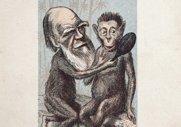 Darwin Future Historiana